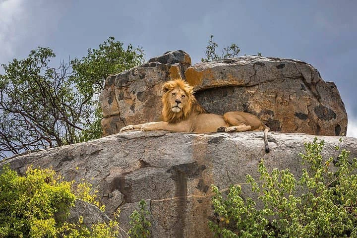 4 Days Tanzania Family safari | Kizza Adventure